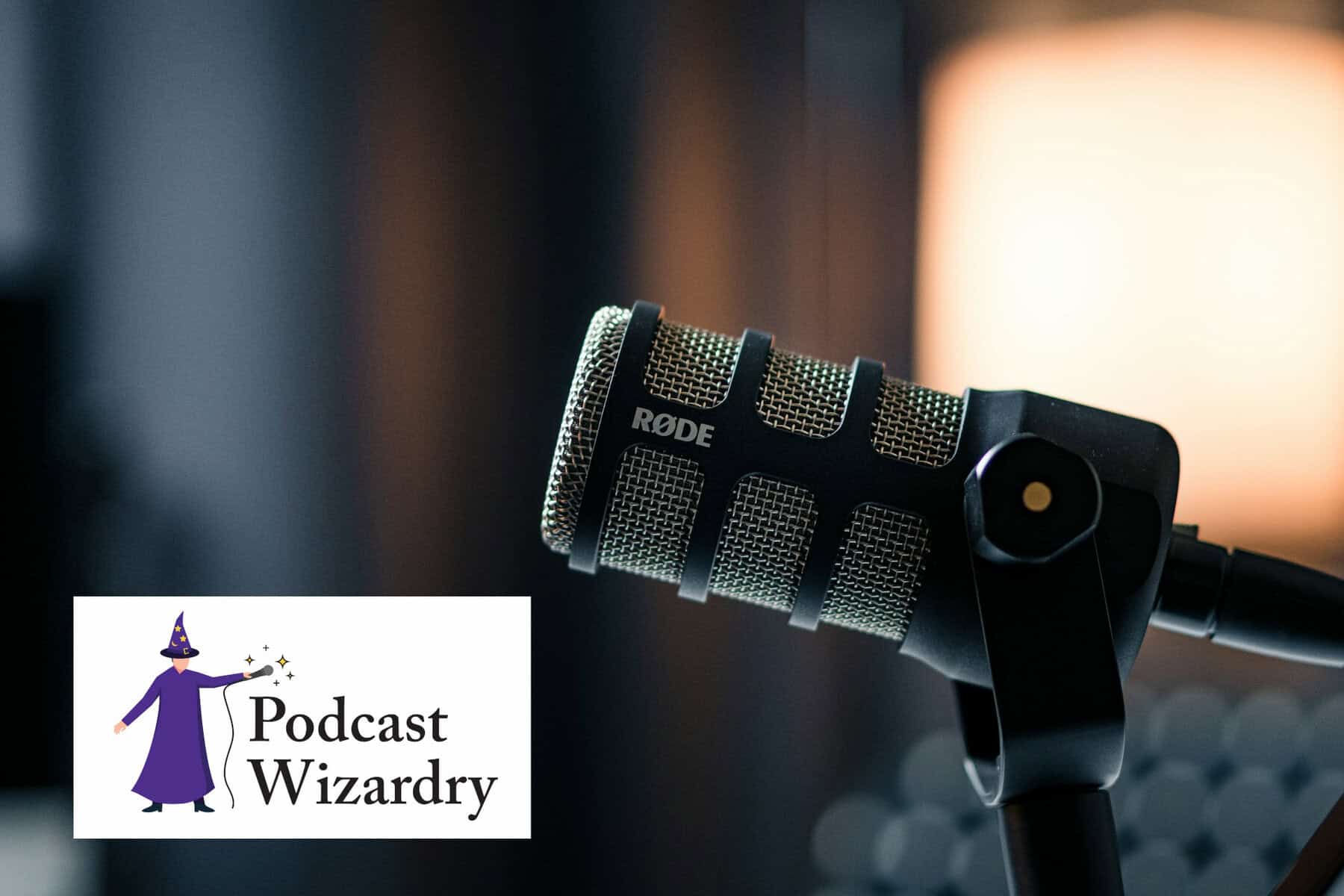 Microphone Choices