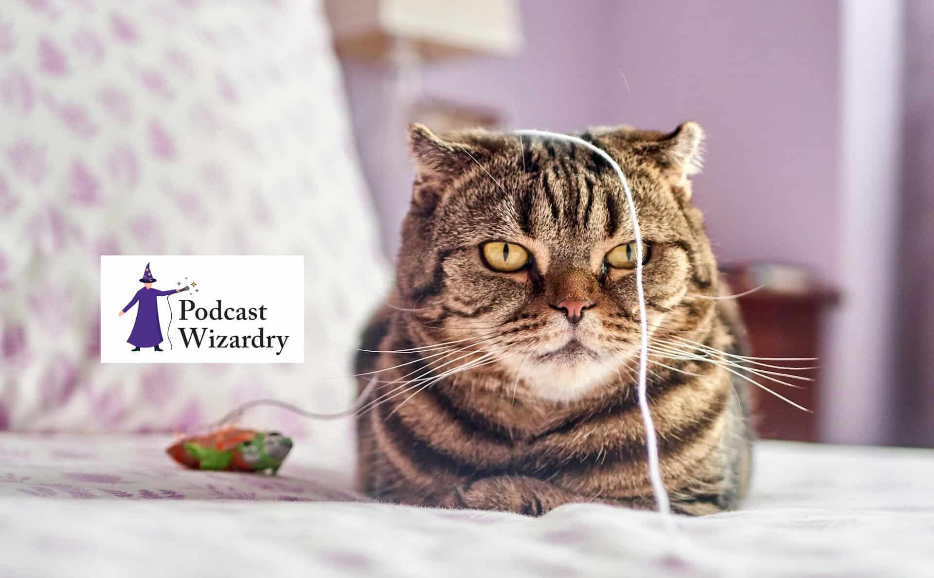 Your Podcast Isn’t Failing